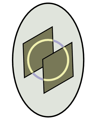 An oval contains two overlapping rectangles and two concentric circles, one yellow and one purple, partially intersecting the rectangles.